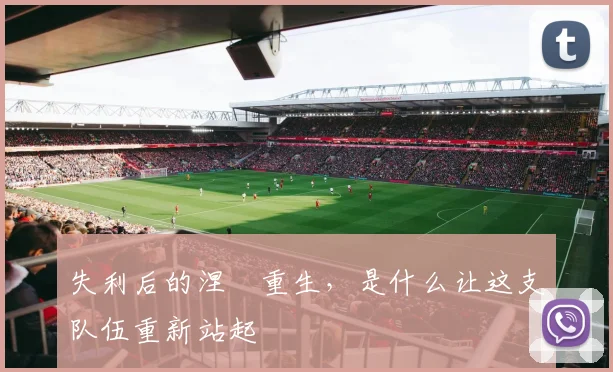 失利后的涅槃重生,是什么让这支队伍重新站起